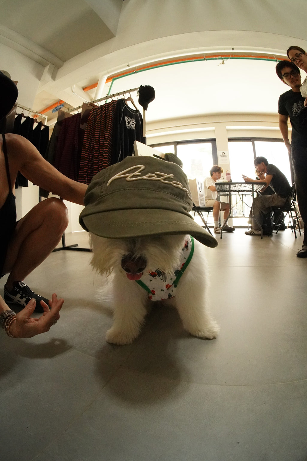 Aston Abode Field Kepi Cap, lifestyle shot